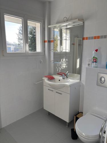 une salle de bain blanche avec des toilettes et un lavabo dans l'établissement La maison d’Henri, à Sailly-Flibeaucourt