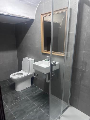 a bathroom with a toilet and a sink and a shower at Casa Colón en la mancha in Herencia