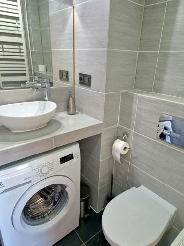 a bathroom with a washing machine and a sink at Apartament Golden Rose in Kłodzko