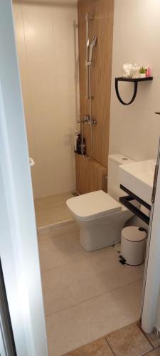 a bathroom with a toilet and a shower and a sink at Kea's Living Yard II in Korissia