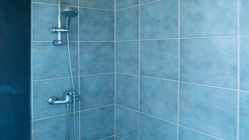 d'une douche avec du carrelage bleu et un pommeau de douche. dans l'établissement Ferienhaus Chalet Natur und Erholung an der Dordogne, à Payrac