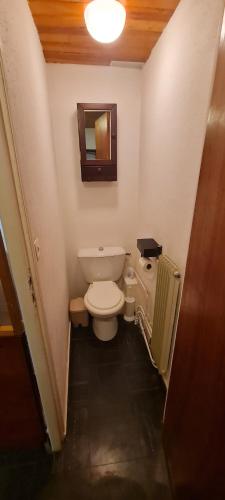 une petite salle de bain avec toilettes et miroir dans l'établissement Murat-le-Quaire Appartement meublé classé 2 étoiles, à Murat-le-Quaire
