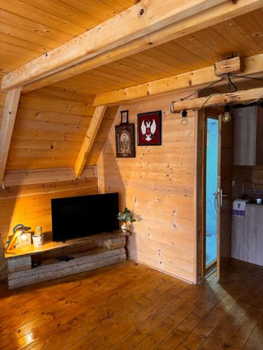 โทรทัศน์และ/หรือระบบความบันเทิงของ AI Cottage