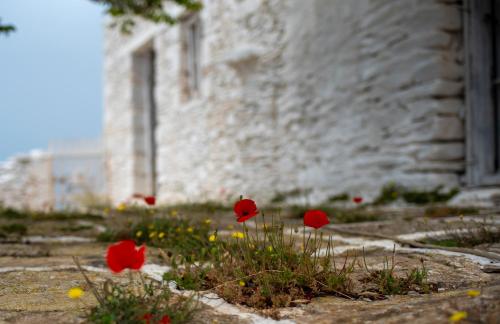 Foto dalla galleria di Kastellas' Dream Studio a Kithnos