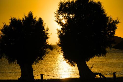 Paesaggio naturale nelle vicinanze della casa vacanze