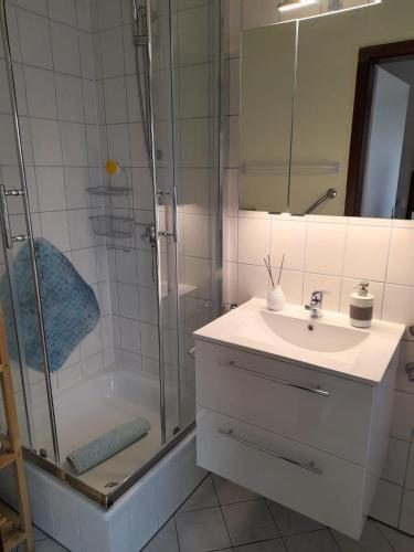 a bathroom with a sink and a shower at Ferienhaus im Spreewald in Straupitz