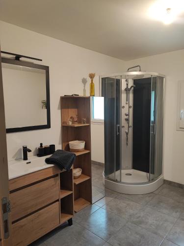 une salle de bain avec douche et lavabo dans l'établissement Aux portes de Chambord, à Muides-sur-Loire