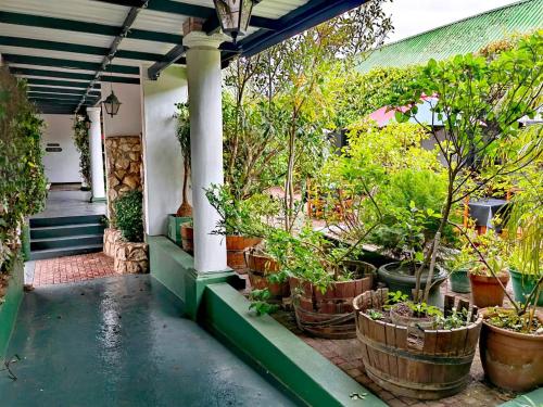 Gallery image of Albertinia Hotel in Albertinia