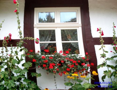 Un jardín fuera de Wohnung in Ulrichshusen