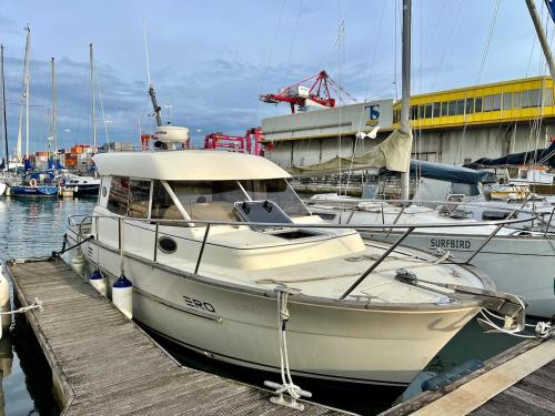 two boats docked at a dock in a harbor at Ero- A floating Escape in Lisbon in Lisbon