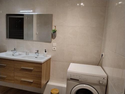 une salle de bains avec lave-linge et lavabo dans l'établissement Le Chasseur Alpin, à Albertville
