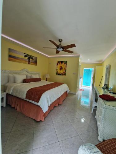 Amazon Villas- Hummingbird photo 2