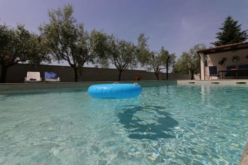 a swimming pool with a blue raft in the water at Ferienhaus - Bungalow Lavanda 4 in Poreč