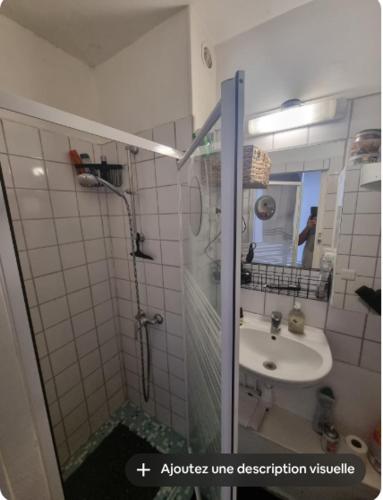 une salle de bain avec douche et lavabo dans l'établissement Cosy appartement au centre-ville, à Paris