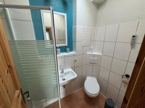 a bathroom with a toilet and a sink and a shower at Haus Bade in Stralsund