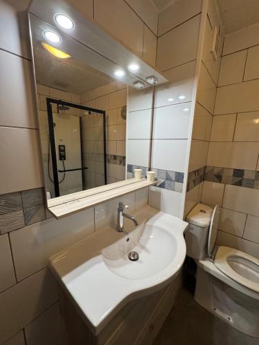 a bathroom with a sink and a toilet and a mirror at La Flânerie Mauriacoise in Mauriac
