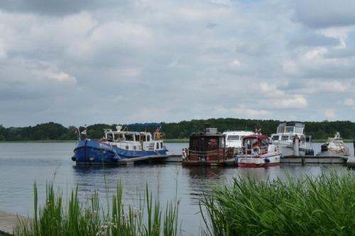 a group of boats docked in a body of water at Ferienhaus beim Stechlinsee in Stechlin