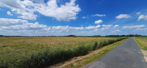 a road leading through a field with a cloudy sky at Apart Zwergmöwe in Butjadingen