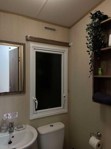 a bathroom with a toilet and a sink and a window at Woodland Retreat Entire Holiday Home in Hastings in Hastings