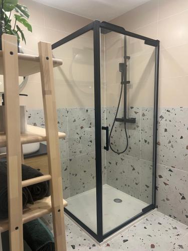 une douche avec une porte vitrée dans une pièce dans l'établissement Charmant studio privatif proche Paris et Disneyland, à Thorigny-sur-Marne