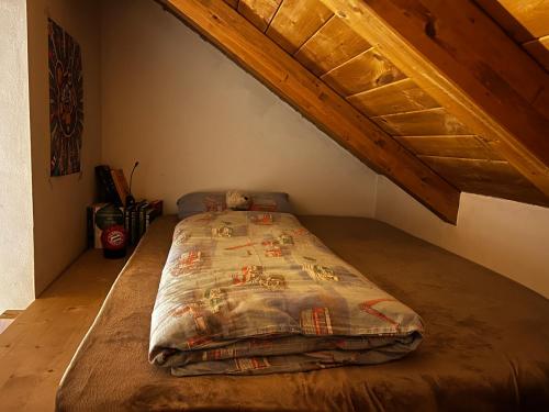 a bedroom with a bed in the corner of a attic at SISSI MENDEL Residence in Ronzone