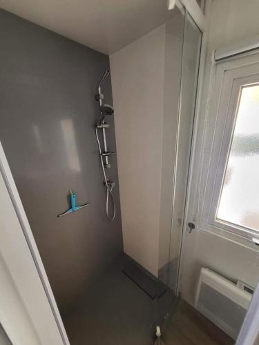 une salle de bain avec une douche avec une porte vitrée dans l'établissement Camping, aux Mathes