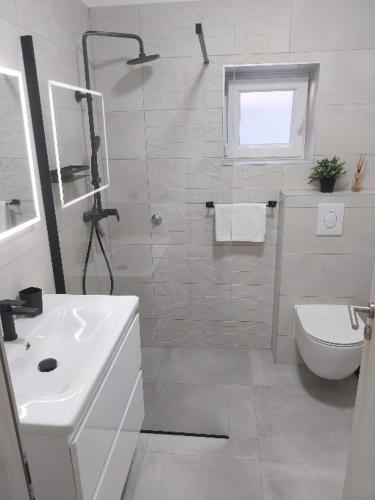 a bathroom with a shower and a sink and a toilet at Dome&Mare in Slatine
