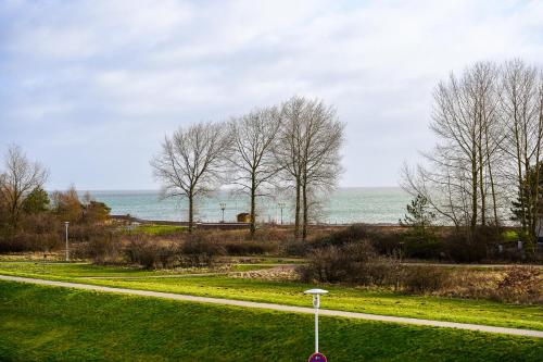 a road next to a field with trees and the ocean at Hanseat I Whg 34 in Grömnitzerhagen