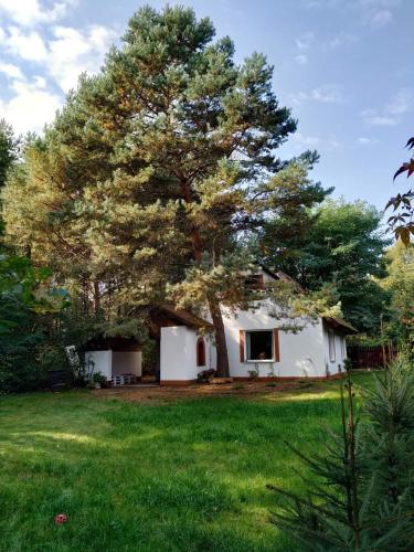 Dom letniskowy w Borach Tucholskich