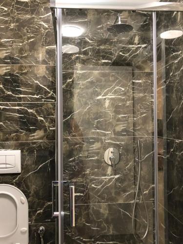 a bathroom with a glass shower with a toilet at Fabio Apartment Qerret in Golem