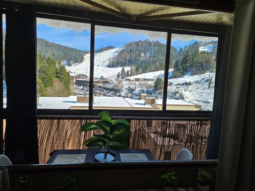 Appartement proche lac de longemer