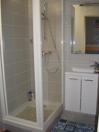 une salle de bain avec douche et lavabo dans l'établissement Studio bord de mer, aux Lecques