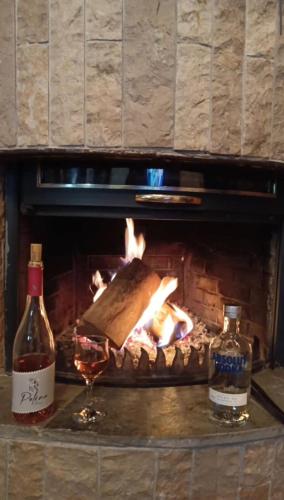 a fire in a fireplace with a glass of wine at Guest house Elatochori in Elatochori