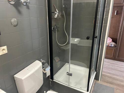 a bathroom with a shower and a toilet and a glass showeroser at Ferienwohnung Truckses Schluchsee in Schluchsee