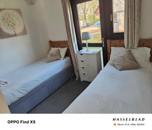 two twin beds in a room with a window at Tolroy manor holiday cottage in Saint Erth