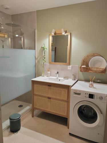 une salle de bain avec une machine à laver et un lavabo dans l'établissement Chez Céline & Ludo, à Villabon