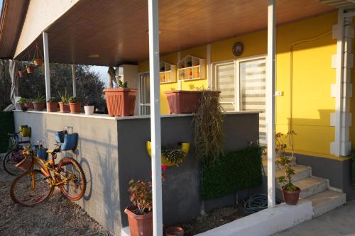 Jízda na kole v ubytování Çilek Home nebo okolí