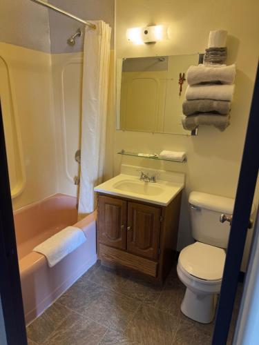 a bathroom with a sink and a toilet and a tub at Rustic Lodge in Glasgow