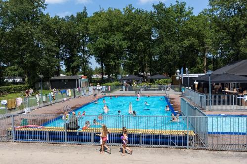 a group of people in a swimming pool at Vintage Forest Chalet in IJhorst