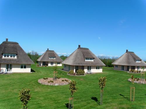 a group of cottages with thatched roofs on a lawn at Reetdachhaus 1, inkl 2 Parkplätze in Fehmarn