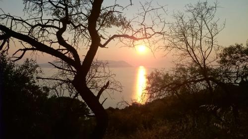 a sunset over the water with a tree in the foreground at Villa Vouno - luxury and privacy in the Aegean in Klíma