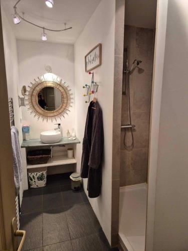 a bathroom with a shower and a sink and a mirror at Le Chai de Villiers in Villiers