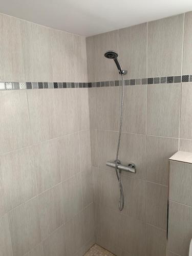 une douche avec pommeau de douche dans une salle de bain dans l'établissement Studio lumineux proche de Paris, à Arnouville-lès-Gonesse