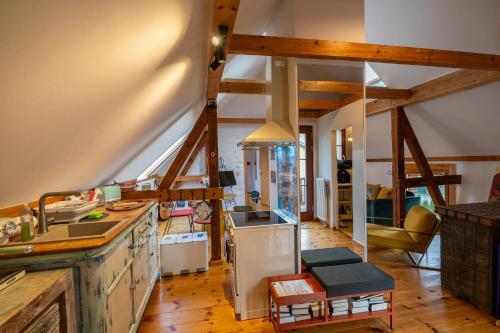 施维洛塞Romantisches Retro Loft Caputh bei Potsdam - neu!的带水槽和炉灶的厨房