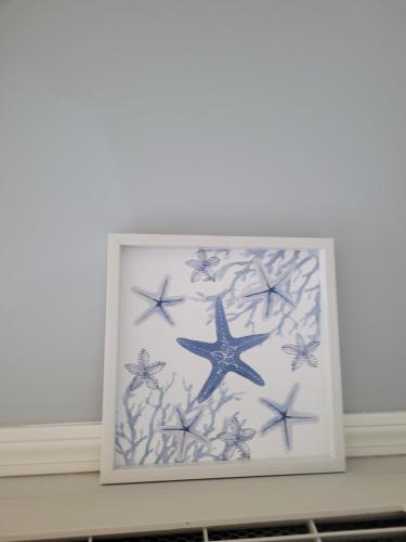 a picture of stars in a picture frame on a shelf at Seaside Haven in Seabrook