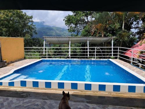 Gallery image of Casa Quinta Villa Carolina in Guadual