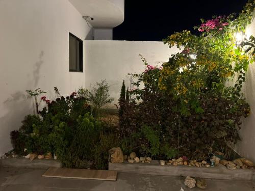 Gallery image of jalal's jeddah house in Jeddah