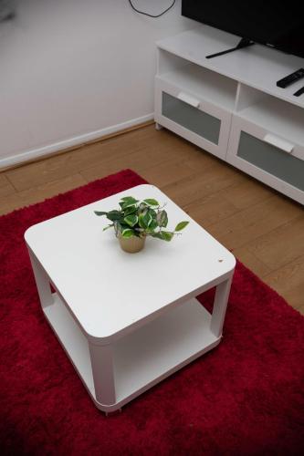 a white coffee table with a potted plant on it at Emerald Apartments A star Proximity in London