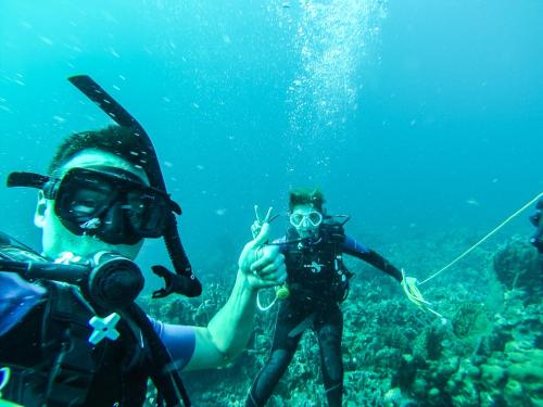 a person in the water with aqual at Hotel San Pedro de Majagua in Isla Grande