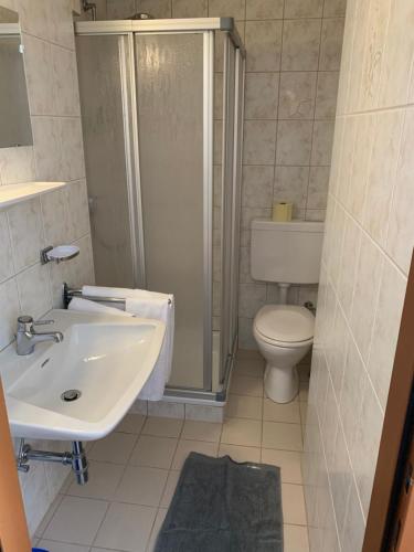 a bathroom with a toilet and a sink and a shower at Pension Plattenhof in Telfs